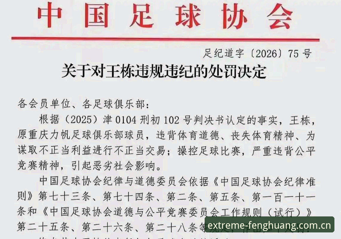 中国足协禁足名单完整解读指南：从终身禁赛到五年禁赛的行业整顿纪实