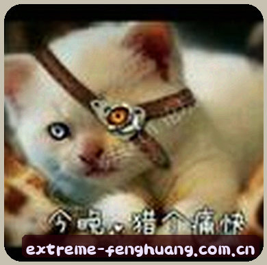 张明